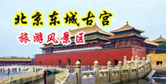 b插b插成人观看中国北京-东城古宫旅游风景区